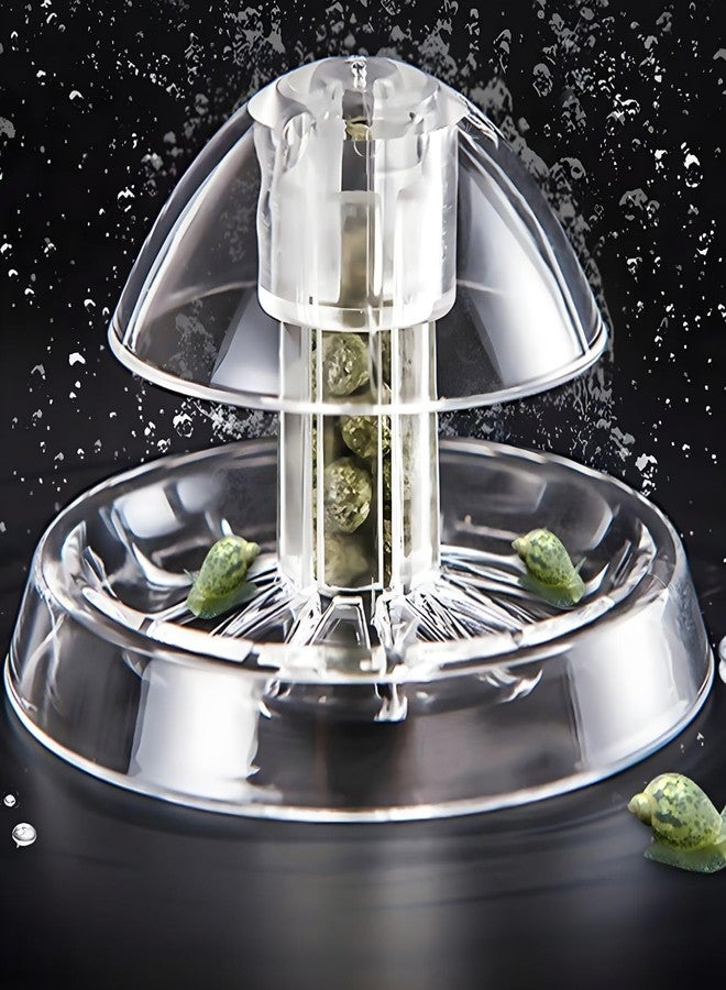 VAYINATO® Transparent Clear Planted Aquarium Fish Tank Snail Trapper Snail Catching Trap Box | Safe and Doesnt Harm Other Aquatic Species | Easy to Use by Petzlifeworld - Image 1